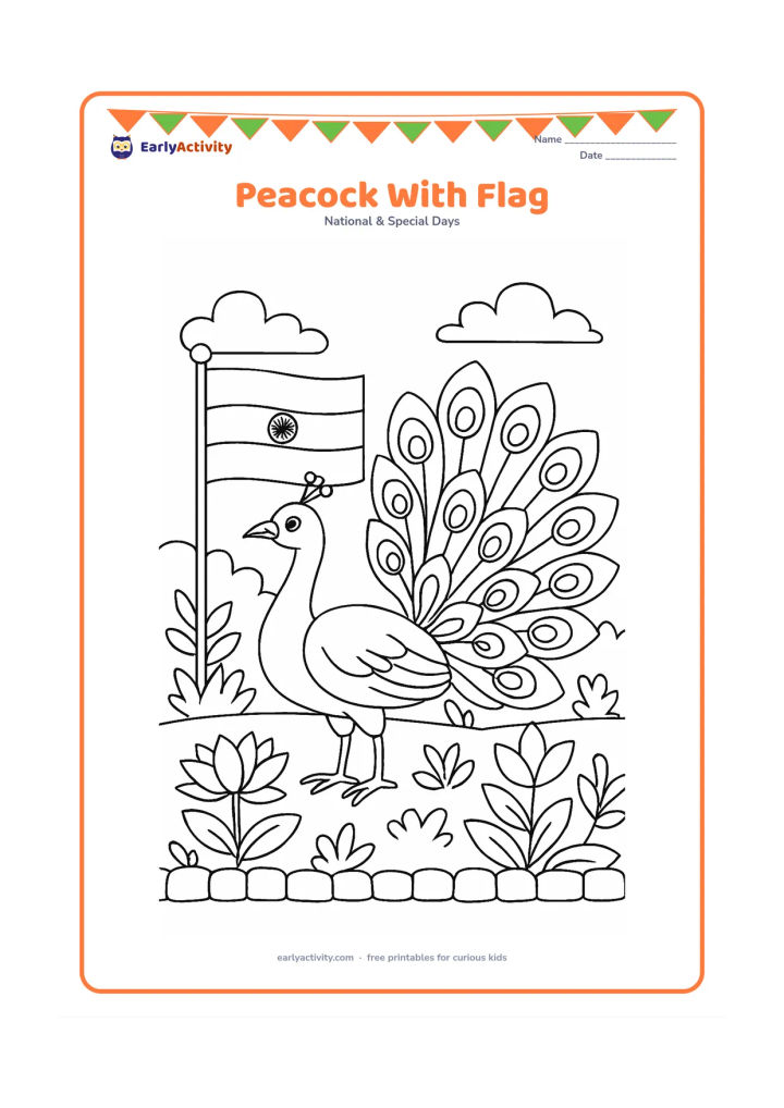 Colouring page: Draw an Indian peacock standing beside a small Indian flag in a garden, with its tail partly fanned. Add lotus flowers, leafy plants and a low stone border around the garden.