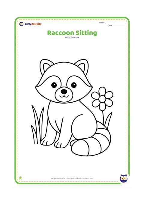 Colouring page: Draw a seated raccoon with its large ringed tail curled beside its body, looking gently toward the viewer. Add a few oversized grass blades and one large flower.