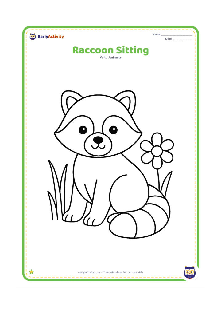 Colouring page: Draw a seated raccoon with its large ringed tail curled beside its body, looking gently toward the viewer. Add a few oversized grass blades and one large flower.