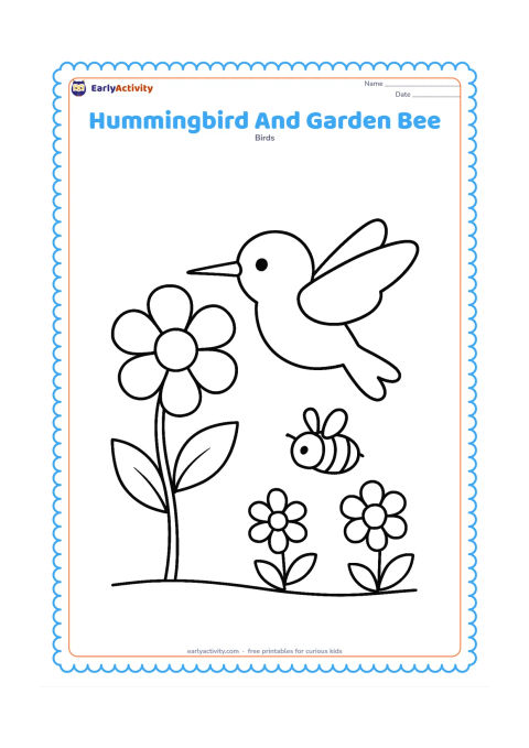 Colouring page: A hummingbird hovers beside a large flower while a small friendly bee approaches another bloom. Include two leaves and a simple garden ground line.