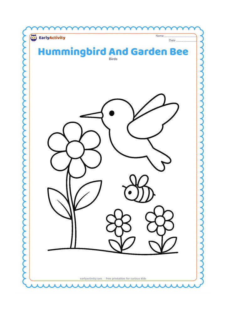 Colouring page: A hummingbird hovers beside a large flower while a small friendly bee approaches another bloom. Include two leaves and a simple garden ground line.