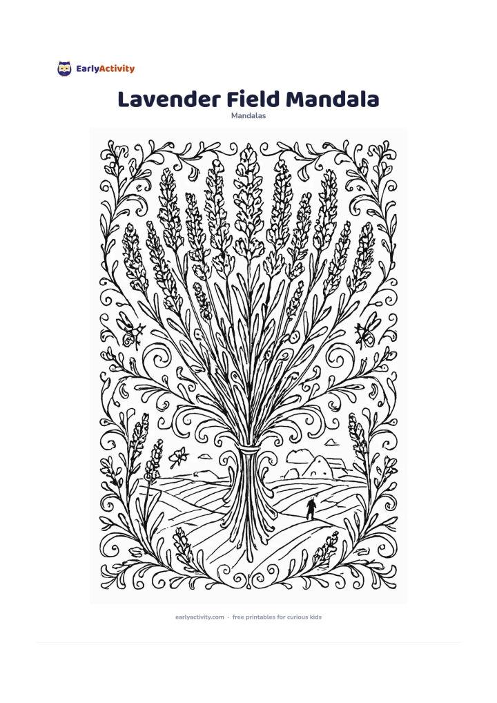 Colouring page: Construct a mandala from tall lavender stems, clustered florets, narrow leaves and curling ornamental vines, with a large central bouquet. Surround it with gently curving field rows, a…