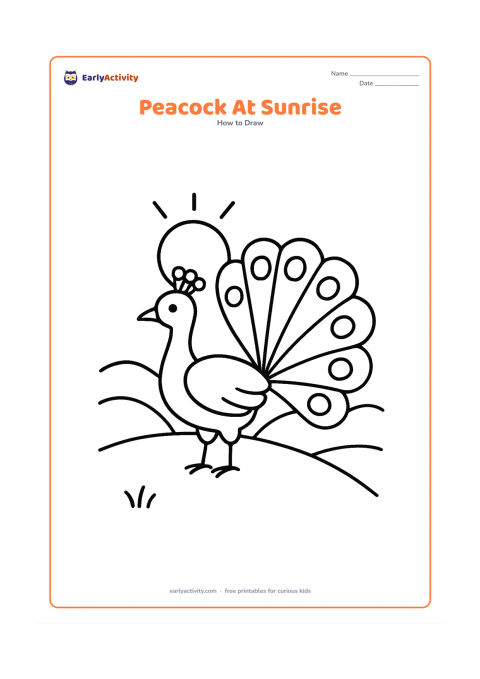 Worksheet: A side-view peacock stands on a low hill with a round sun behind its open tail. Add three simple rays, two distant hills and a short line of grass.