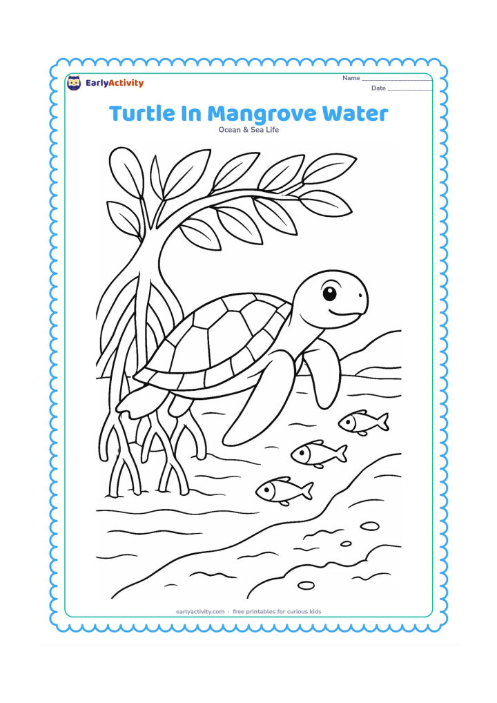 Colouring page: Draw a sea turtle swimming through shallow water beside mangrove roots, with leafy branches above, a muddy bank, and small fish.