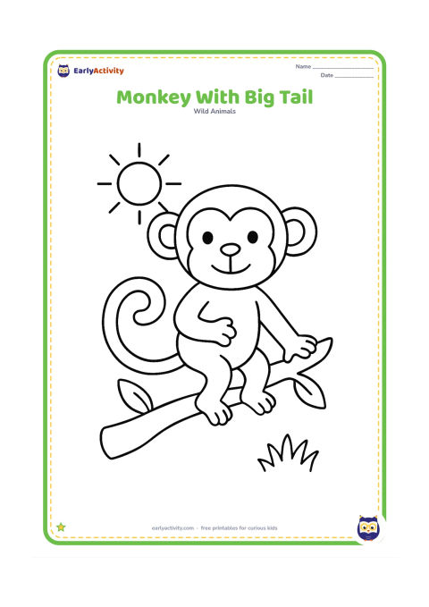 Colouring page: Draw one monkey standing on a low branch while its long tail curls around the branch. Add a sun, two leaves and a small patch of grass below.