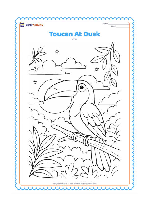 Colouring page: A toucan perches on a branch against a detailed evening forest, with a large setting sun, layered clouds, silhouetted leaves, hanging vines, and a few stars in the open sky. Keep the…
