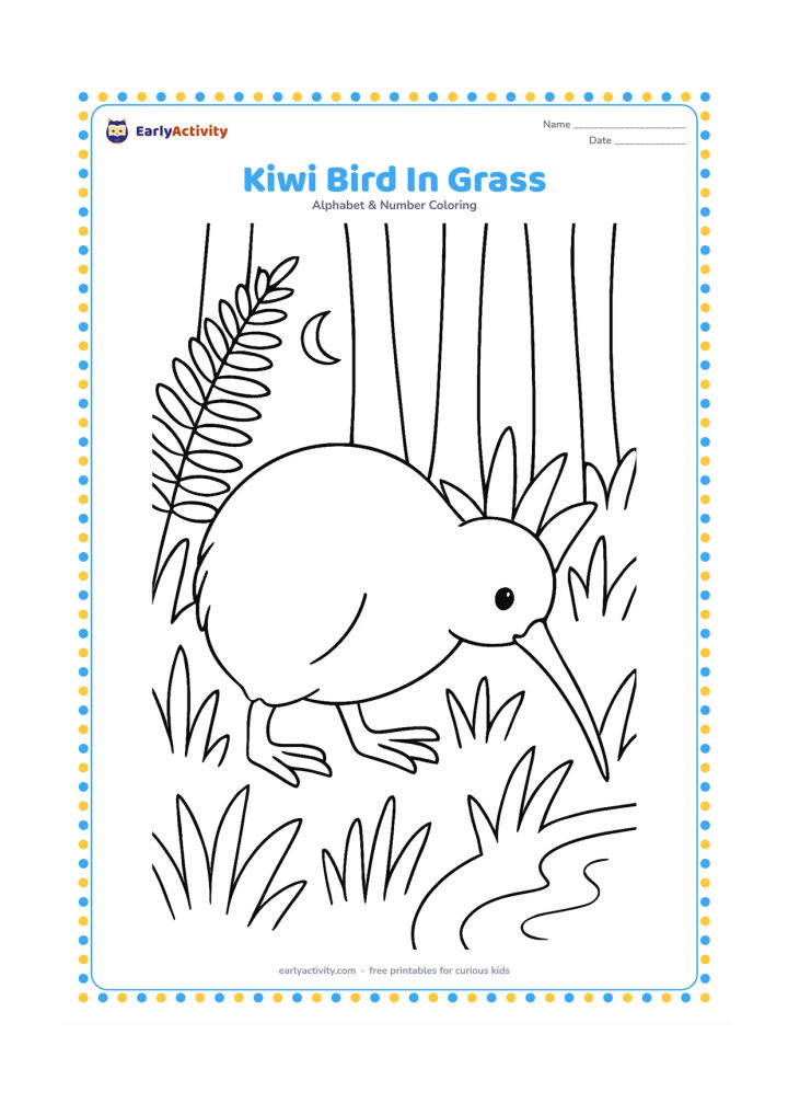 Colouring page: A friendly kiwi bird walks through tall grass at the edge of a forest, using its long beak to look near the ground. Add fern leaves, tree trunks and a small moon-shaped pond edge.