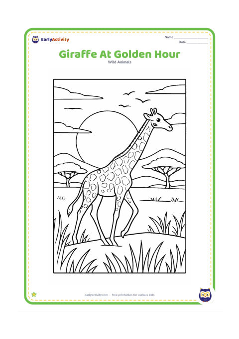 Colouring page: A giraffe walks along a ridge at golden hour, with a large setting sun, long grass silhouettes, acacia trees, distant hills and a flock of birds. Show warm peaceful scenery through clear…