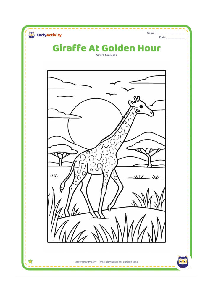Colouring page: A giraffe walks along a ridge at golden hour, with a large setting sun, long grass silhouettes, acacia trees, distant hills and a flock of birds. Show warm peaceful scenery through clear…