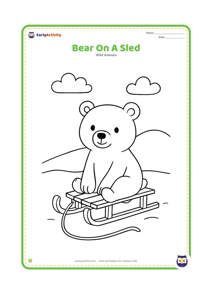 Colouring page: A polar bear sits on a small plain wooden sled resting on snow, with a long rope, two broad runners and a low hill behind it.