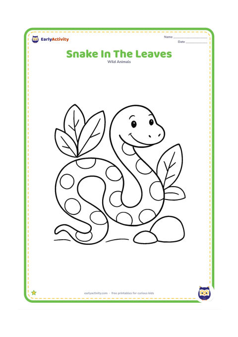 Colouring page: A friendly non-threatening snake makes a wide looping curve across the ground, with its head raised gently. Place it among three big leaves and a rounded rock.