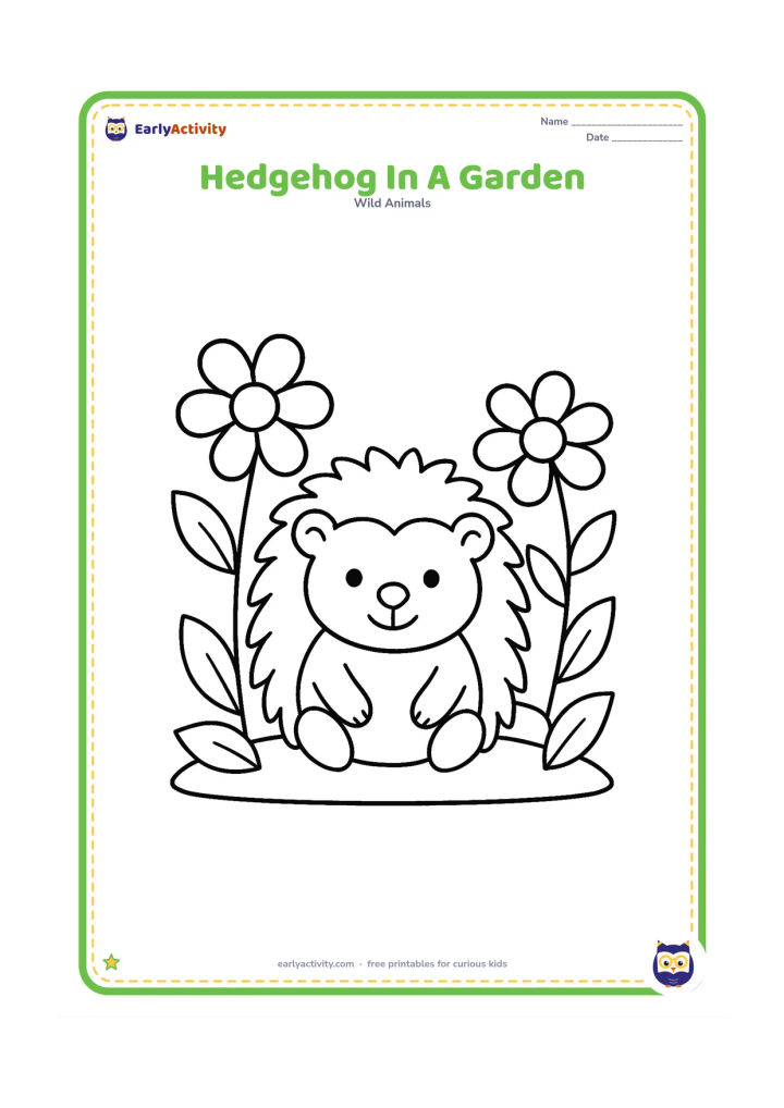 Colouring page: Draw a friendly hedgehog sitting in a small garden bed with two large flowers and three broad leaves. Show a low curved garden border behind it.