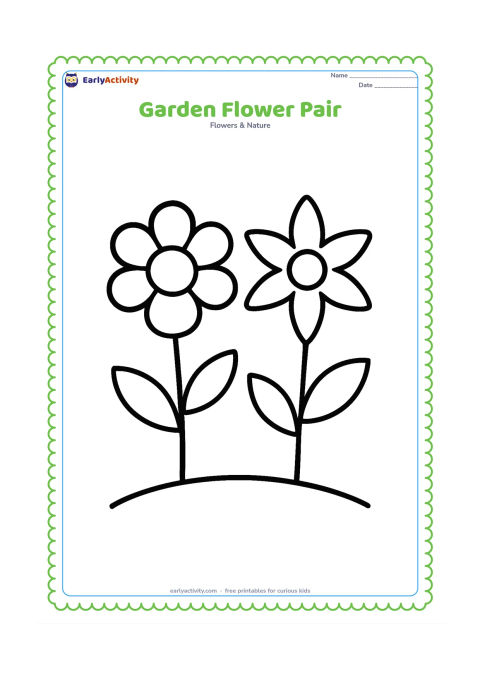 Colouring page: Draw two large flowers growing side by side from simple stems, one round-petalled and one star-petalled. Add two broad leaves and a gently curved ground line.