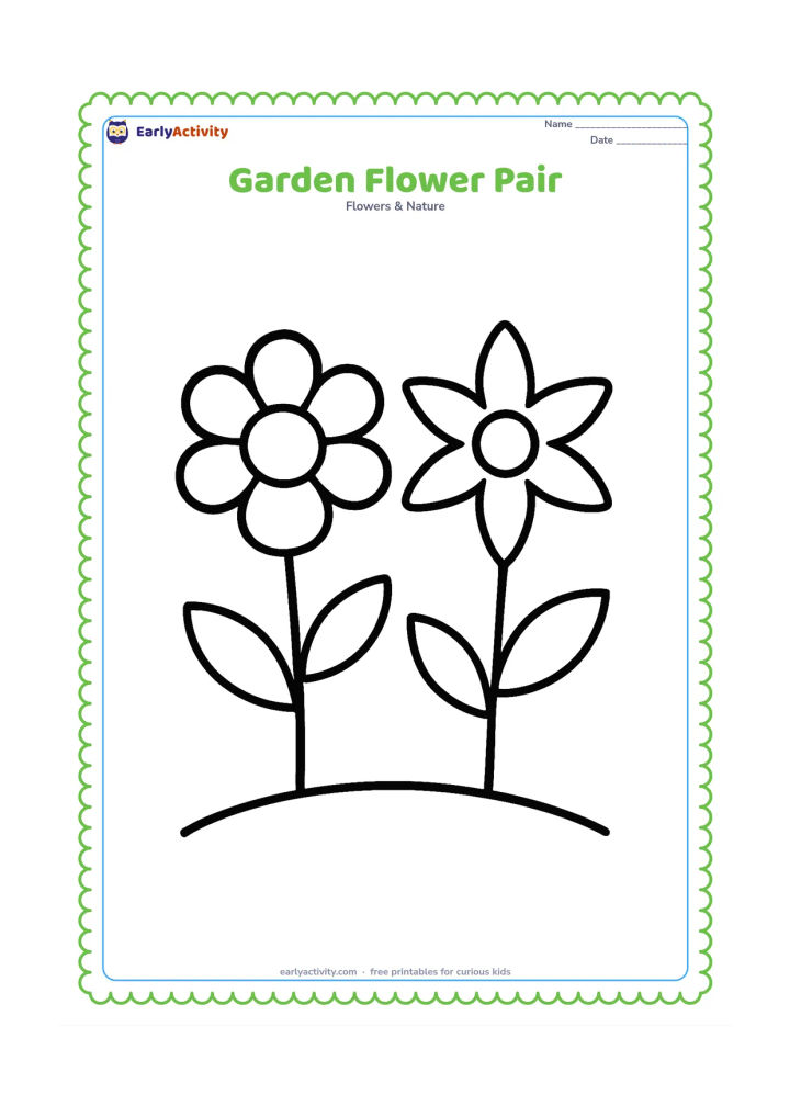 Colouring page: Draw two large flowers growing side by side from simple stems, one round-petalled and one star-petalled. Add two broad leaves and a gently curved ground line.