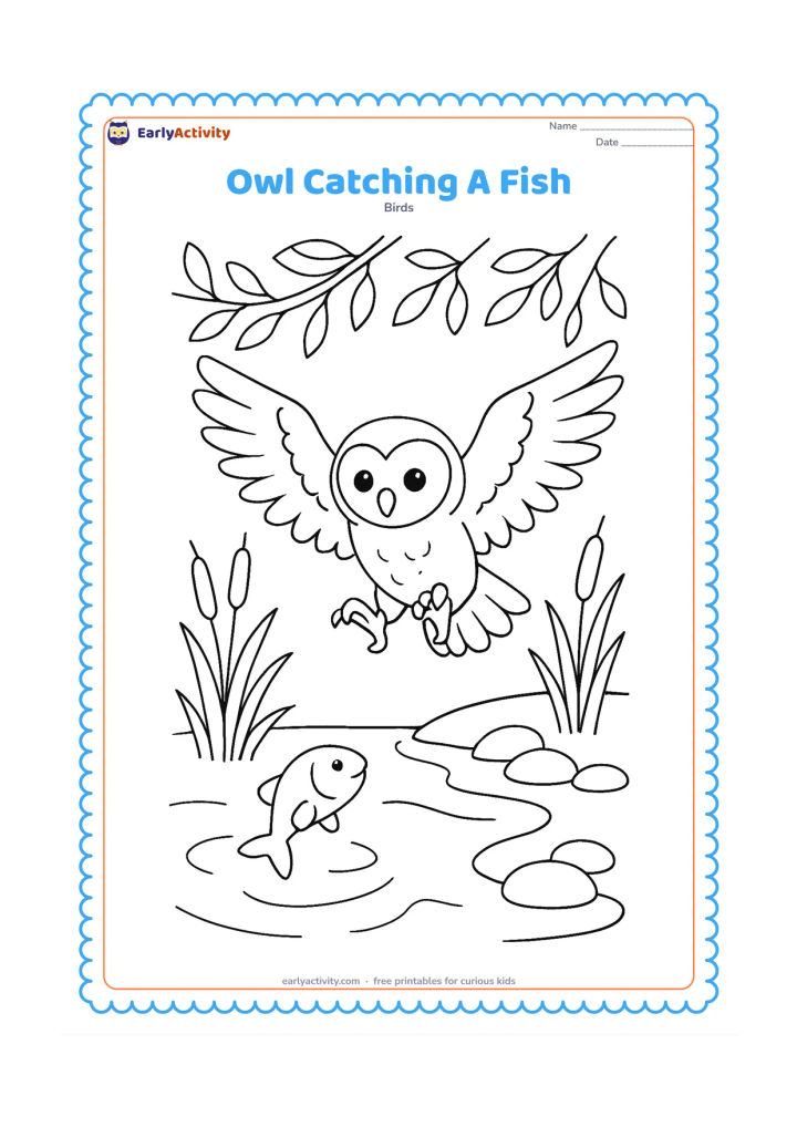 Colouring page: An owl swoops down with open claws toward a small fish near a stream, surrounded by reeds, smooth stones and overhanging branches.