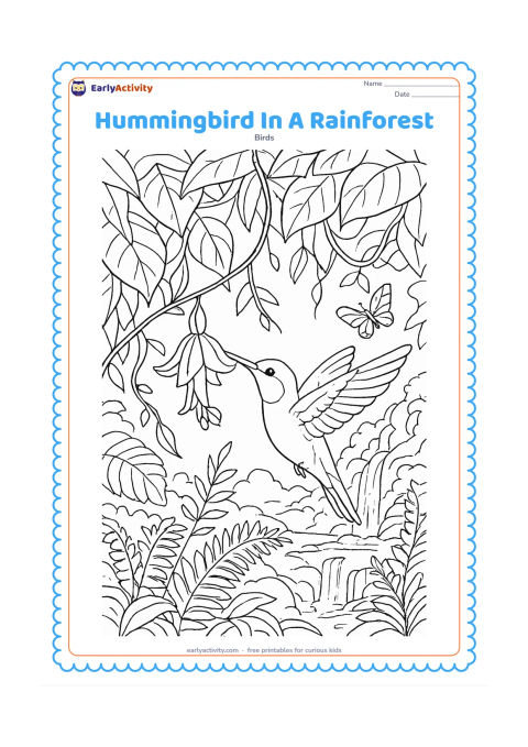 Colouring page: A hummingbird reaches into a hanging tropical flower beneath a canopy of broad leaves. Add layered vines, a small waterfall, ferns and a butterfly in the distance.
