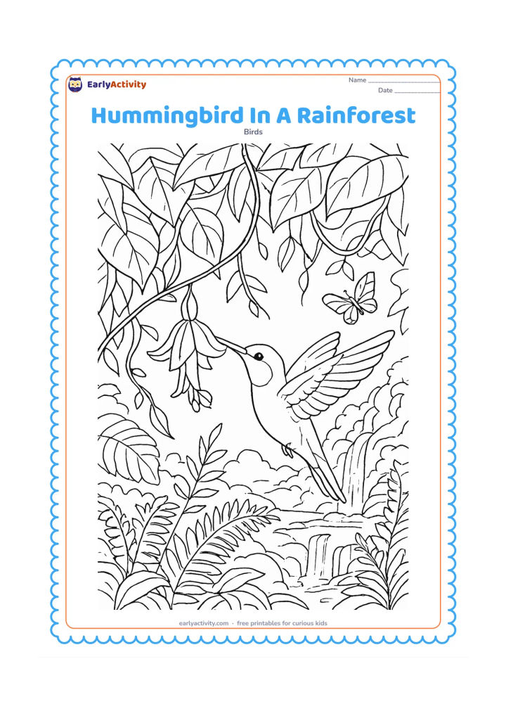 Colouring page: A hummingbird reaches into a hanging tropical flower beneath a canopy of broad leaves. Add layered vines, a small waterfall, ferns and a butterfly in the distance.