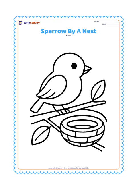 Colouring page: Draw one sparrow standing beside a small round nest on a low branch. Include a few thick twigs and two large leaves.
