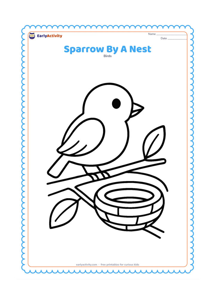 Colouring page: Draw one sparrow standing beside a small round nest on a low branch. Include a few thick twigs and two large leaves.
