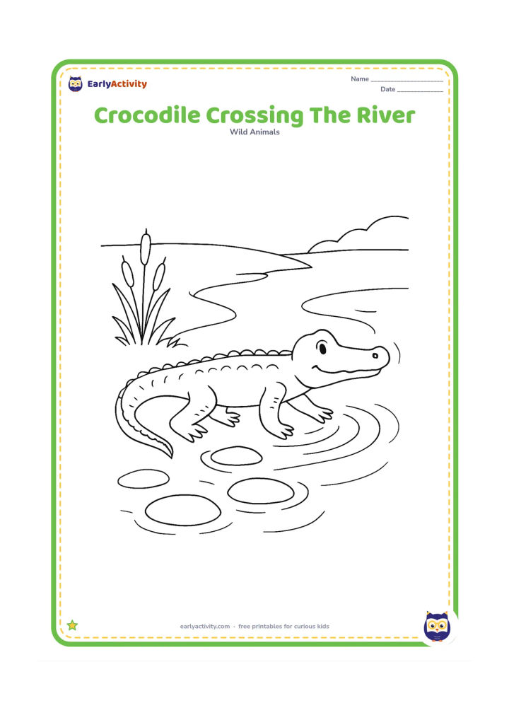 Colouring page: Draw a crocodile walking from a grassy bank into a shallow river, with its legs, long tail, and ripples clearly visible. Add stepping stones, reeds, and a distant low bank.