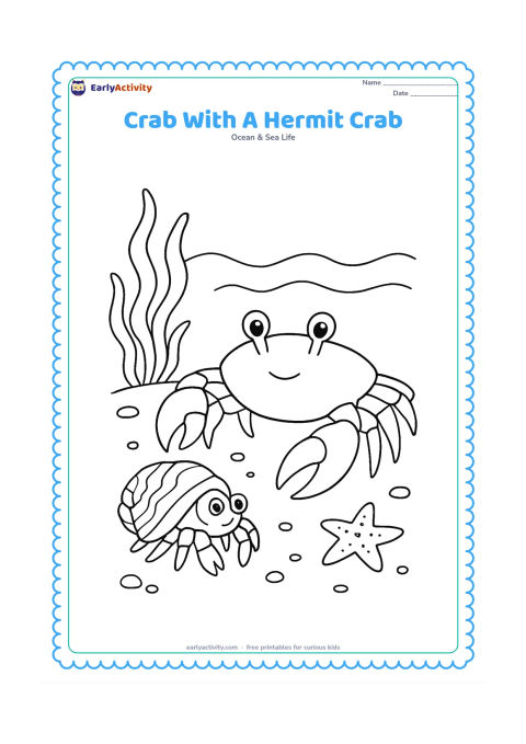 Colouring page: Show a large shore crab beside a small hermit crab carrying a patterned shell, both walking across sand. Add seaweed, pebbles, a starfish and a shallow wave behind them.