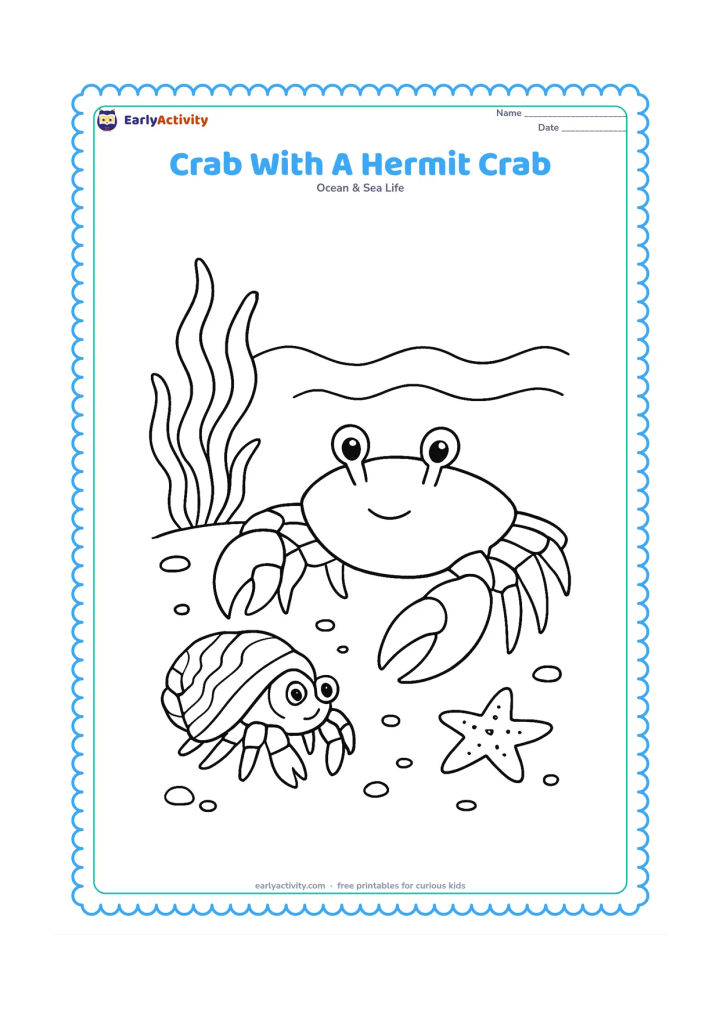 Colouring page: Show a large shore crab beside a small hermit crab carrying a patterned shell, both walking across sand. Add seaweed, pebbles, a starfish and a shallow wave behind them.