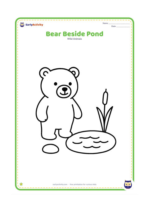 Colouring page: A bear standing beside a small pond with three broad ripples, one cattail, and a round stone.