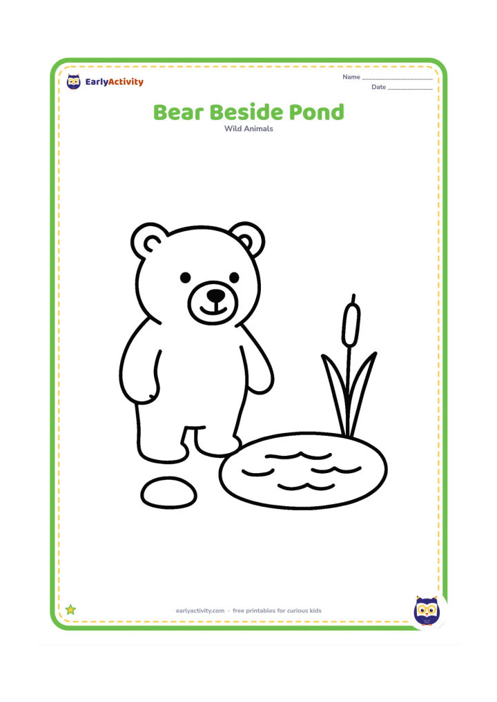 Colouring page: A bear standing beside a small pond with three broad ripples, one cattail, and a round stone.