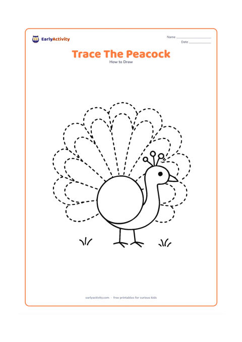 Worksheet: A large peacock made from a round body, curved neck, simple head and wide fan tail, with dotted tracing outlines around each main shape. Leave generous blank space around the bird and…