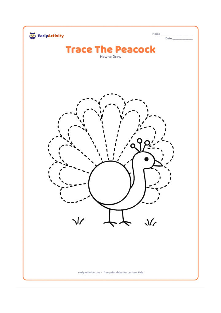 Worksheet: A large peacock made from a round body, curved neck, simple head and wide fan tail, with dotted tracing outlines around each main shape. Leave generous blank space around the bird and…