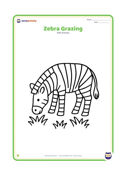 Colouring page: Draw one zebra with its head lowered to eat short grass, showing its striped body, mane and tail clearly. Add three large grass clumps beneath it.