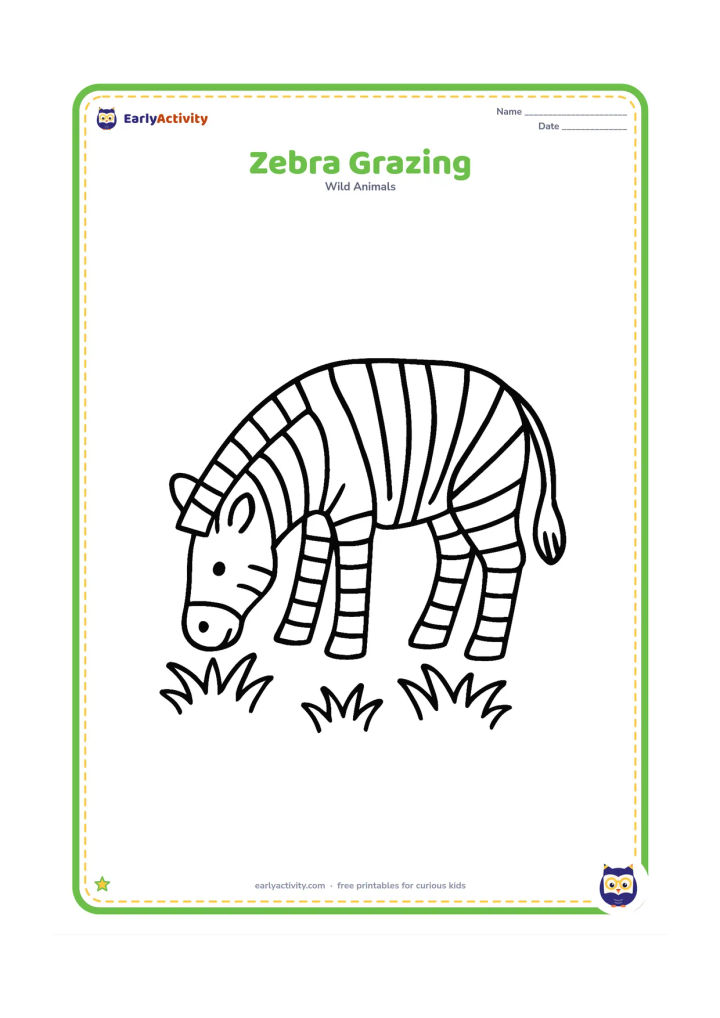 Colouring page: Draw one zebra with its head lowered to eat short grass, showing its striped body, mane and tail clearly. Add three large grass clumps beneath it.