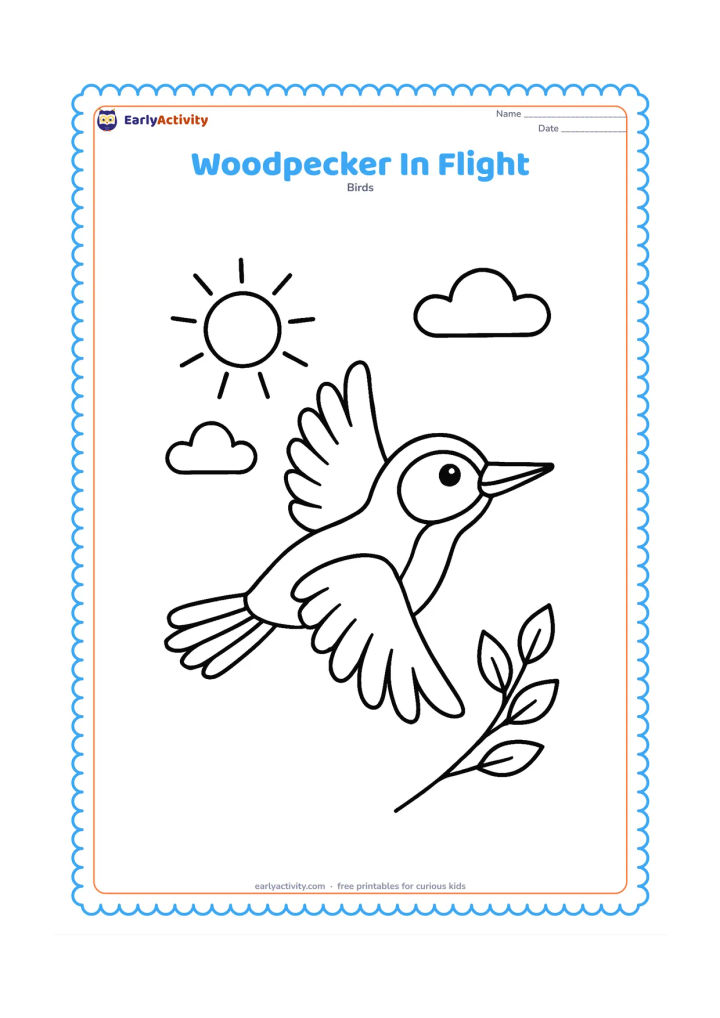 Colouring page: A woodpecker flies across the page with wings spread and tail feathers trailing behind. Add a simple sun, two clouds and one leafy branch in the background.