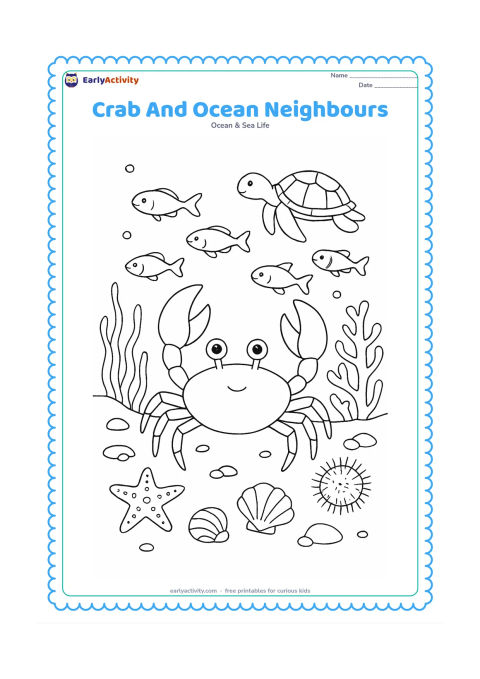 Colouring page: Draw a central crab on the seabed surrounded by a friendly school of fish, a sea turtle in the distance, a starfish, sea urchin, shells, coral and drifting seaweed. Arrange the animals…