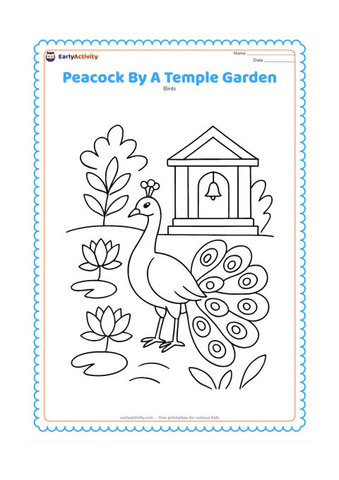 Colouring page: A peacock stands in a peaceful garden beside simple temple steps, two lotus flowers, and leafy plants. Show a small bell shape near the entrance without any writing.