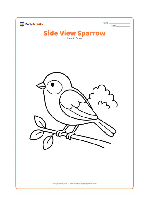 Worksheet: A side-view sparrow stands on a twig, built from light circles and ovals with a small pointed beak, rounded wing, layered tail and two gripping feet. Add a few leaves and a distant shrub…