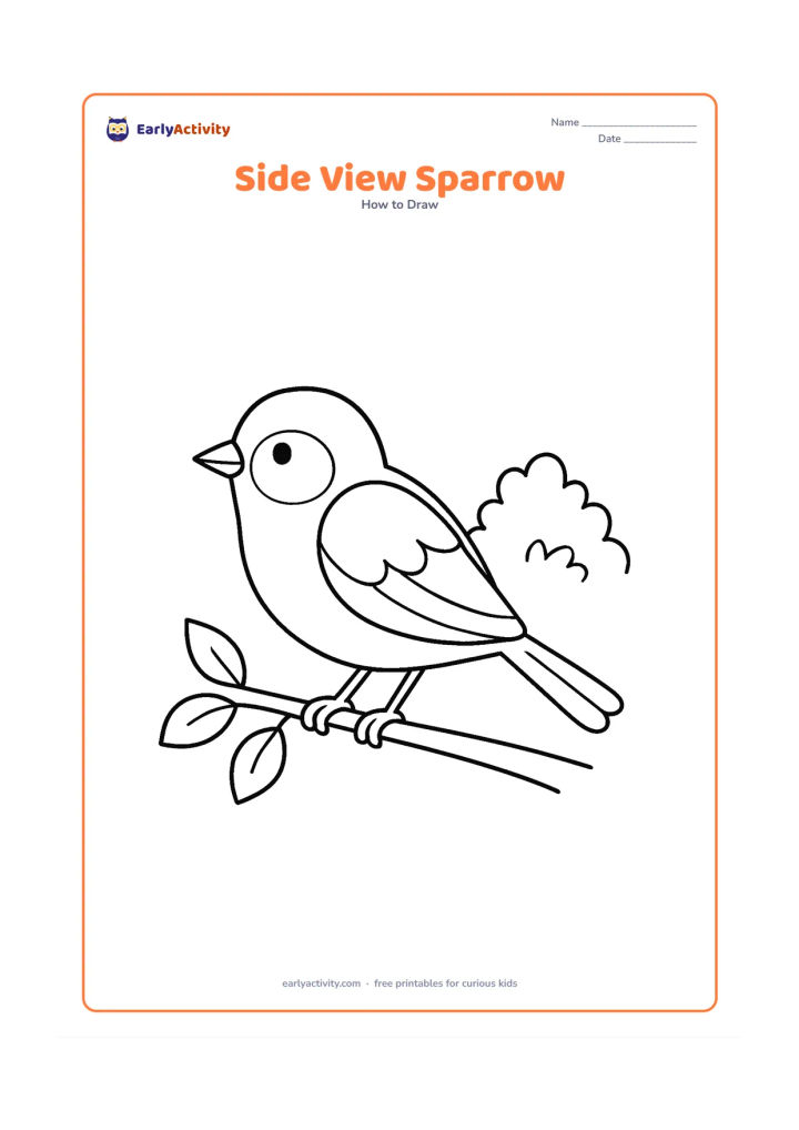 Worksheet: A side-view sparrow stands on a twig, built from light circles and ovals with a small pointed beak, rounded wing, layered tail and two gripping feet. Add a few leaves and a distant shrub…