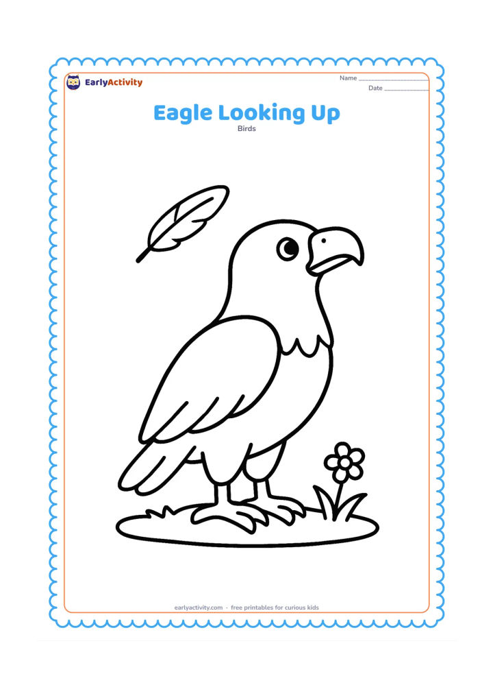 Colouring page: Draw a standing eagle in side view with its head tilted upward toward one flying feather. Place it on a simple grassy patch with one small flower.