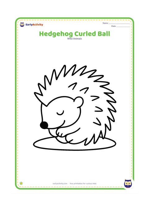 Colouring page: Draw a hedgehog curled into a neat round ball, with its nose and legs tucked inside and a few large visible spines around the outside. Place it on a simple patch of ground.