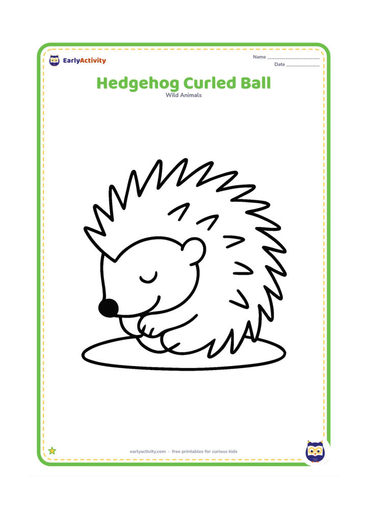 Colouring page: Draw a hedgehog curled into a neat round ball, with its nose and legs tucked inside and a few large visible spines around the outside. Place it on a simple patch of ground.