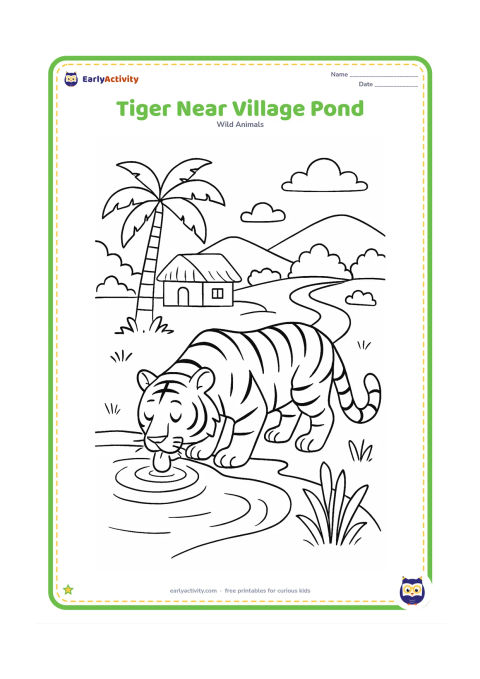 Colouring page: A tiger drinks from the edge of a quiet pond near an Indian village landscape, with a small thatched shelter, palm tree, earthen path, and water plants in the distance. No people or…
