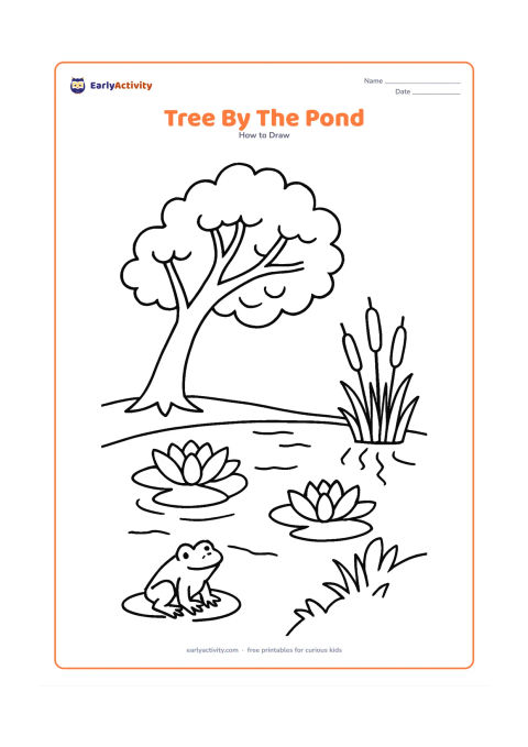 Worksheet: Show a tree leaning gently over a pond, with reflected branches in the water, two large water lilies, reeds and a frog near the bank. Include a few uneven leaf groups.