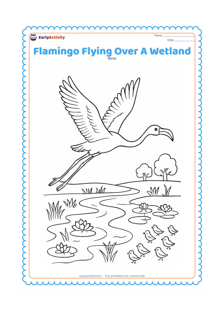 Colouring page: Draw a flamingo flying across the upper half of the page with legs extended behind and wings in a strong downstroke. Below it, show winding water channels, reed beds, lotus patches,…