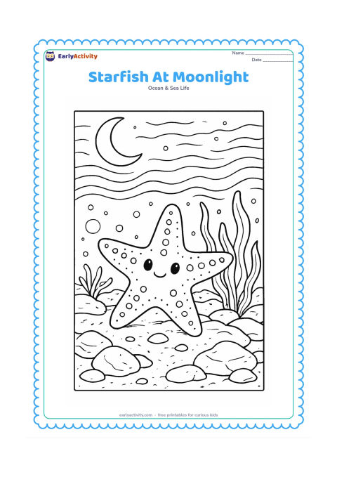 Colouring page: Draw a starfish on a nighttime seabed beneath a crescent moon seen through the water, with layered waves, rocks, seaweed and bubbles.
