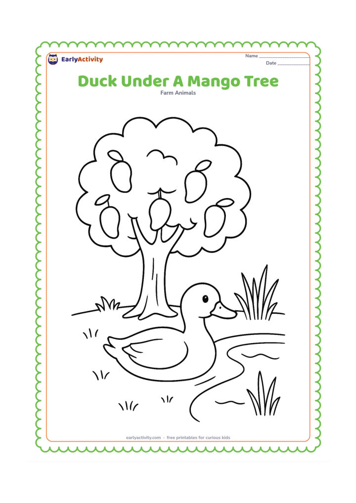 Colouring page: A duck rests beneath a broad mango tree beside a pond. Include a sturdy trunk, several hanging mangoes, grass, reeds and a shaded patch beneath the tree.