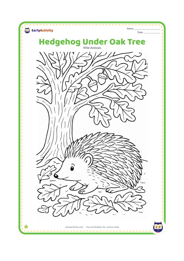 Colouring page: Draw a hedgehog resting beneath a large oak tree with textured bark, spreading branches, acorns and layered fallen leaves. Show the animal in profile on a woodland floor.