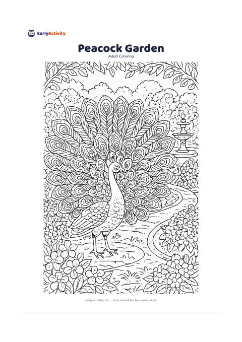 Colouring page: A peacock stands with its tail fully spread in a formal garden, surrounded by flowering bushes, curved paths, a fountain and leafy borders. Fill the tail feathers with distinct repeating…
