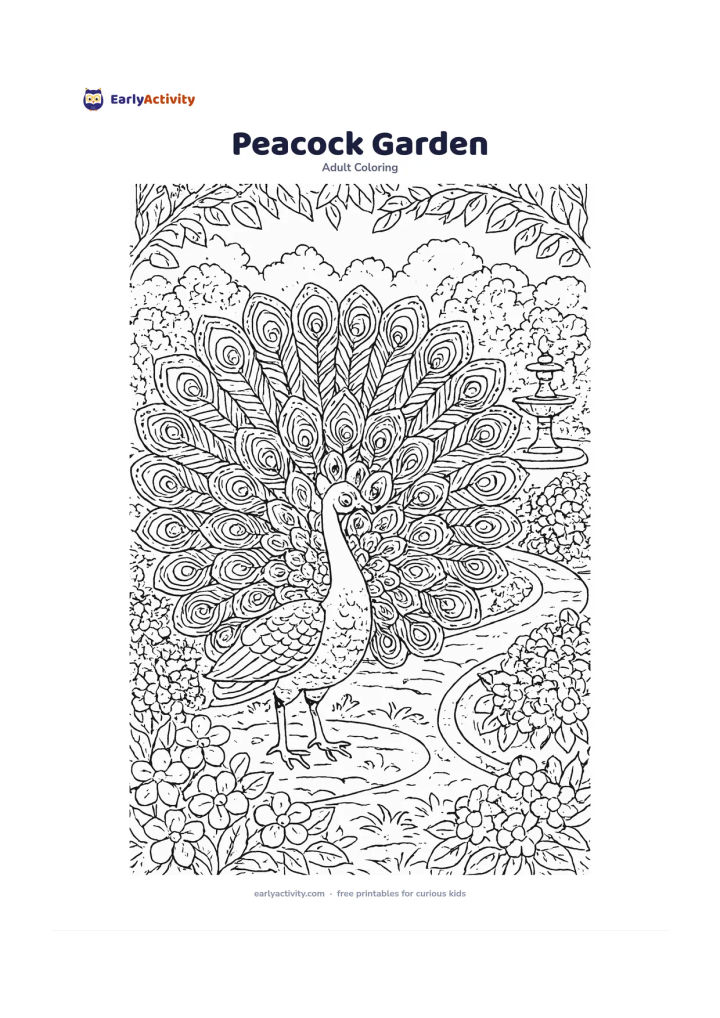 Colouring page: A peacock stands with its tail fully spread in a formal garden, surrounded by flowering bushes, curved paths, a fountain and leafy borders. Fill the tail feathers with distinct repeating…