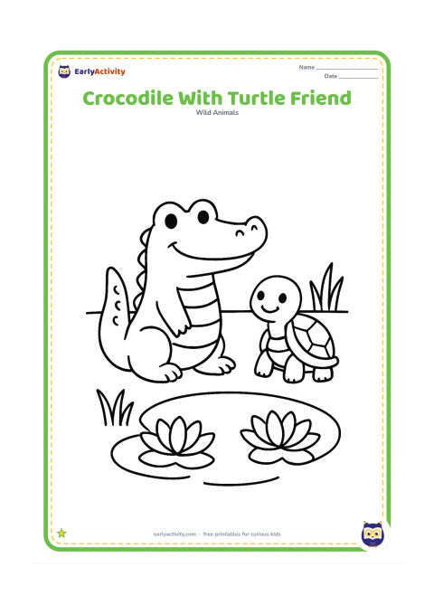 Colouring page: Draw a smiling crocodile and a small turtle sitting side by side beside a pond, with two large water lilies and simple grass around them. Both animals should be fully visible.