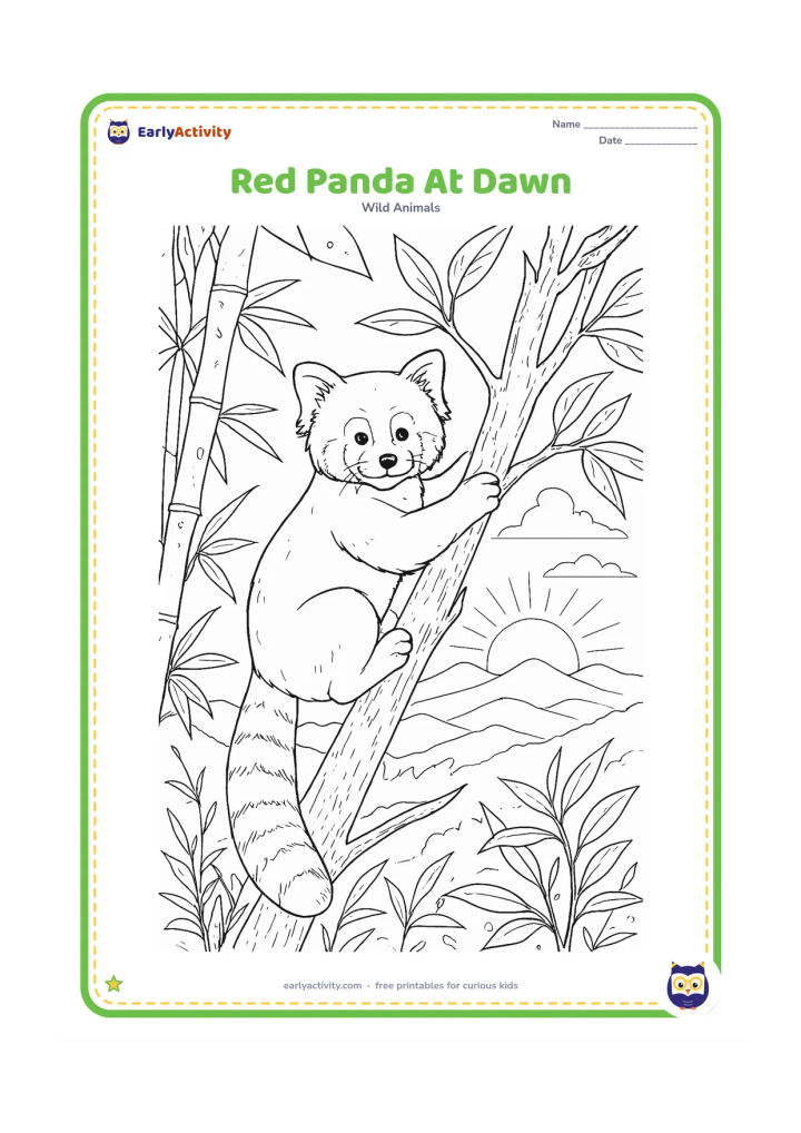 Colouring page: Draw a red panda climbing a tree at dawn, with its long tail hanging between branches. Add layered mountain ridges, a low rising sun, bamboo and dew-covered leaves.